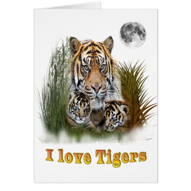Me encantan los Tigres (Frente)
