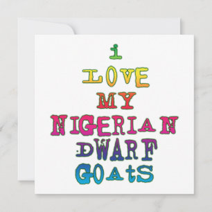 Me encantan mis cabras enanas nigerianas