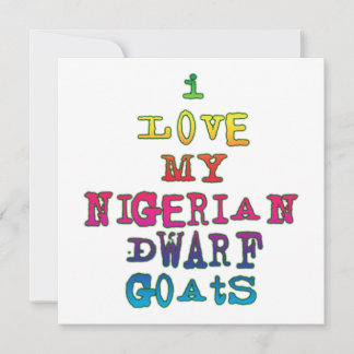 Me encantan mis cabras enanas nigerianas