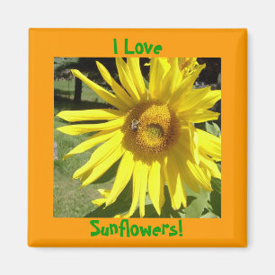 ¡Me Encanto, Sunflowers! Imán