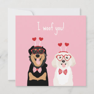 Me Gusta Valentine Dog Rottweiler Maltipoo Puppy
