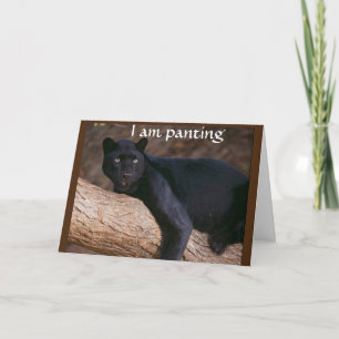 ME HACES PANT CON UNA TARJETA DE CUMPLEAÑOS EXCITE