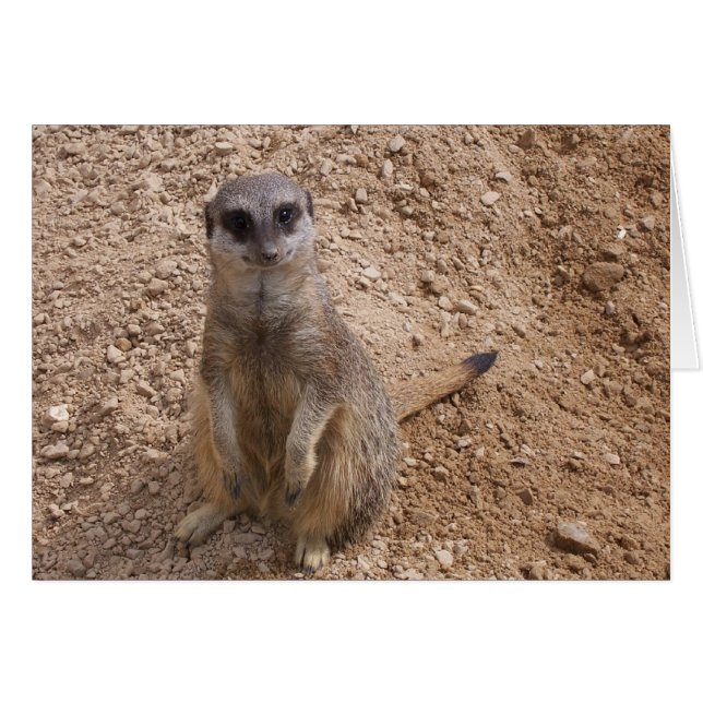 Me haces sonreír (Anverso (Horizontal))