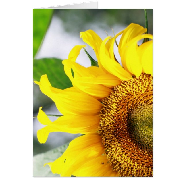 Me has iluminado la vida (Frente)