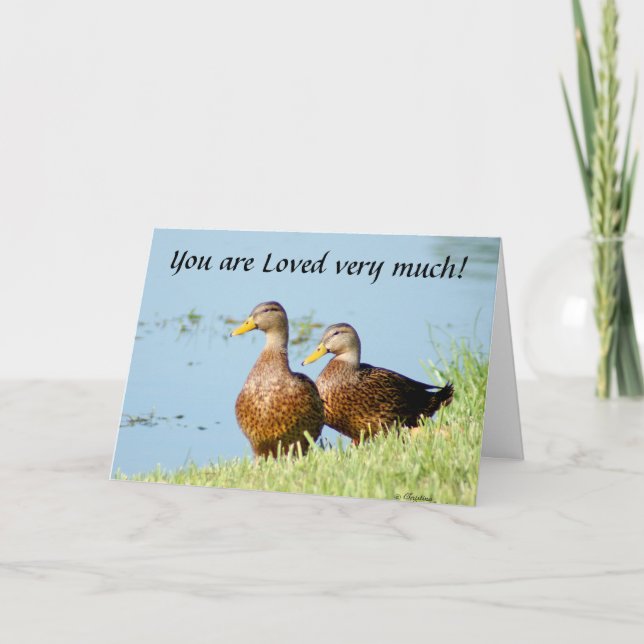 Me he perdido mucha tarjeta de felicitación (Anverso)