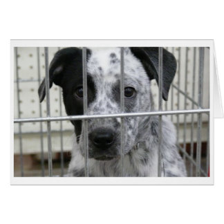 ¡ME HICIERON FRAMAR!