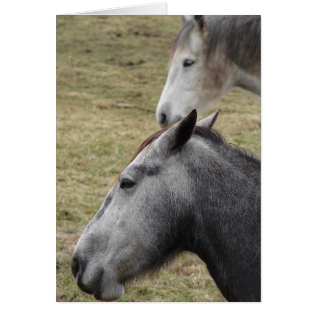 Me Hiciste Pero Todavía Te Amas (Frente)