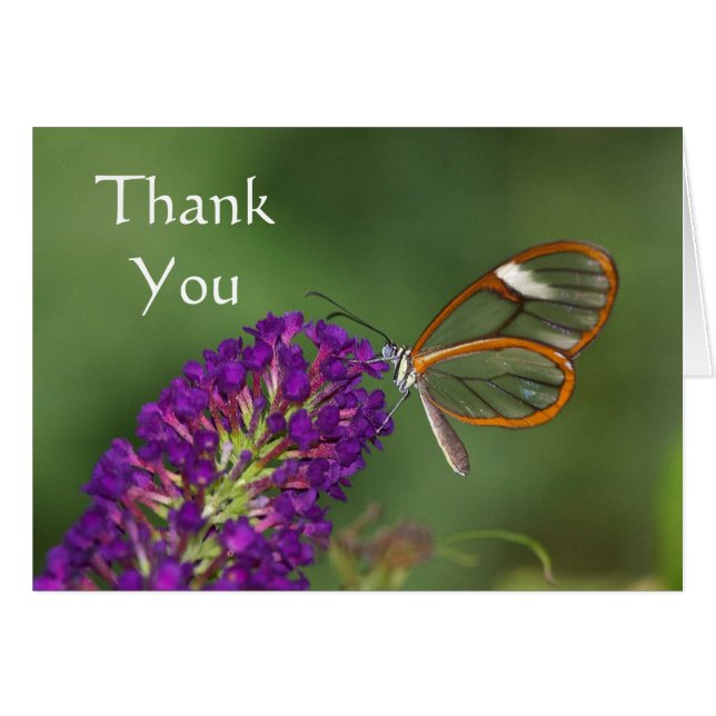 Me llaman Clara Gracias. (Anverso (Horizontal))