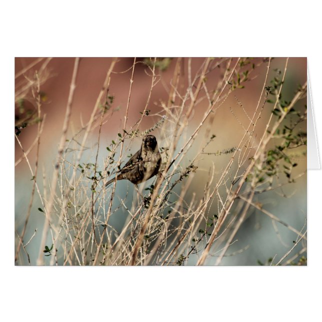 ¿Me miras? (Anverso (Horizontal))