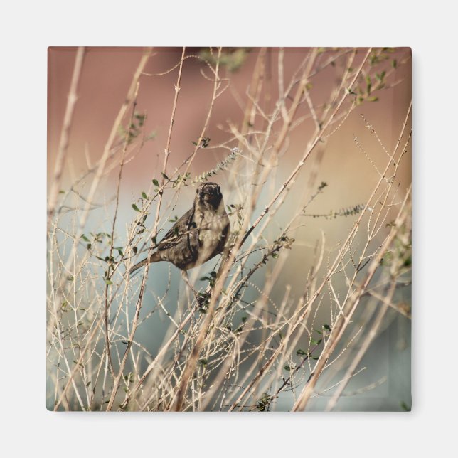 ¿Me miras? Imán (Frente)