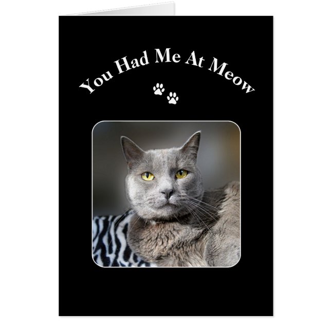 Me Tenías En El Gato Azul Ruso De Meow (Frente)