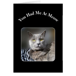 Me Tenías En El Gato Azul Ruso De Meow