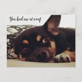 Me tenías en Woof. Postal de Chihuahua.