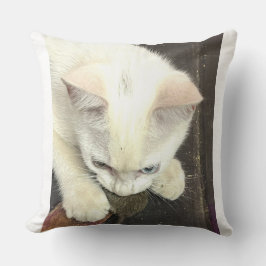 ¡Me Tienes!, Almohada Divertida de Aniversario
