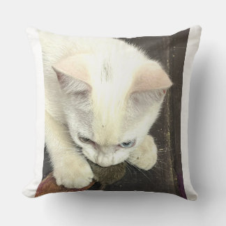 ¡Me Tienes!, Almohada Divertida de Aniversario