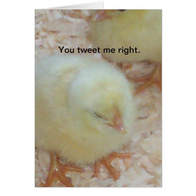 Me tuiteas bien. (Frente)