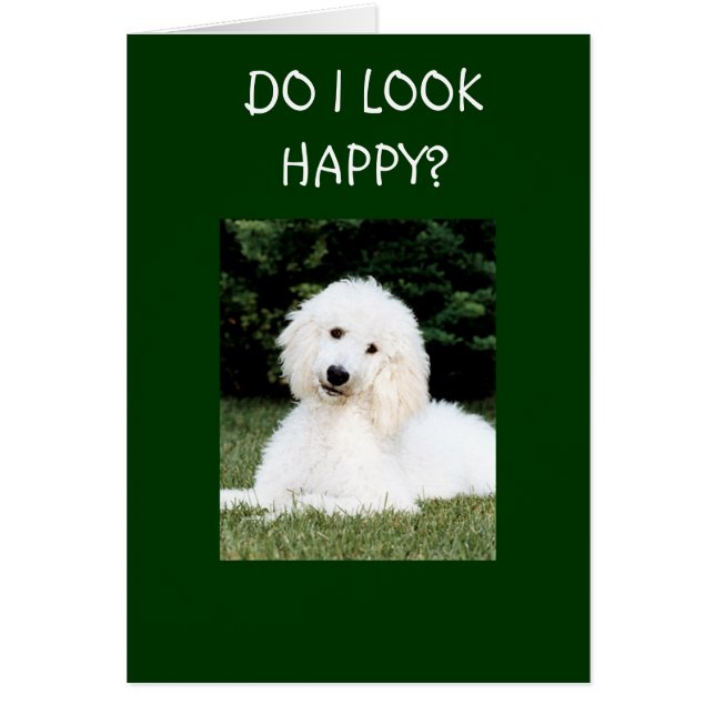 ¿ME VEO FELIZ? (Frente)