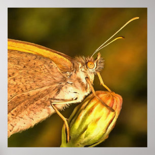 Meadow Brown Hermoso Arte de Mariposa