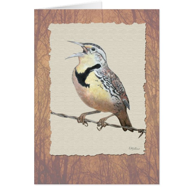 Meadowlark (Frente)