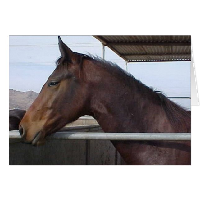 Meaghan (Anverso (Horizontal))