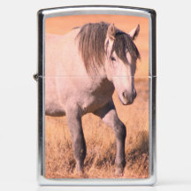 CABALLOS SALVAJES DE UTAH ONAQUI HERD Zippo Lighte