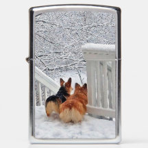 Dos Corgis en invierno