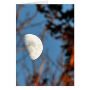 Media Luna a través de ramas estériles