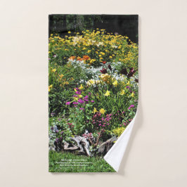 ¡Mediados de colores del jardín del verano!