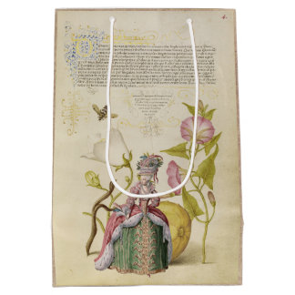 Mediana Bolsa de regalo de Dama Medieval Francesa y Script