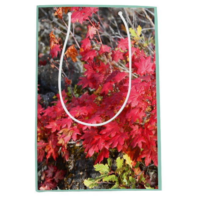 Mediana Bolsa de regalo de hojas de otoño (Anverso)