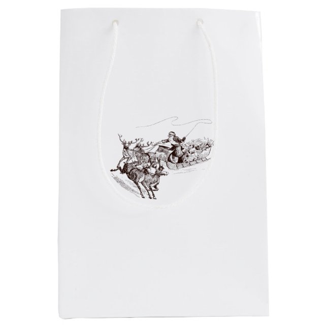 Mediana Bolsa de regalo de Navidad  (Anverso)