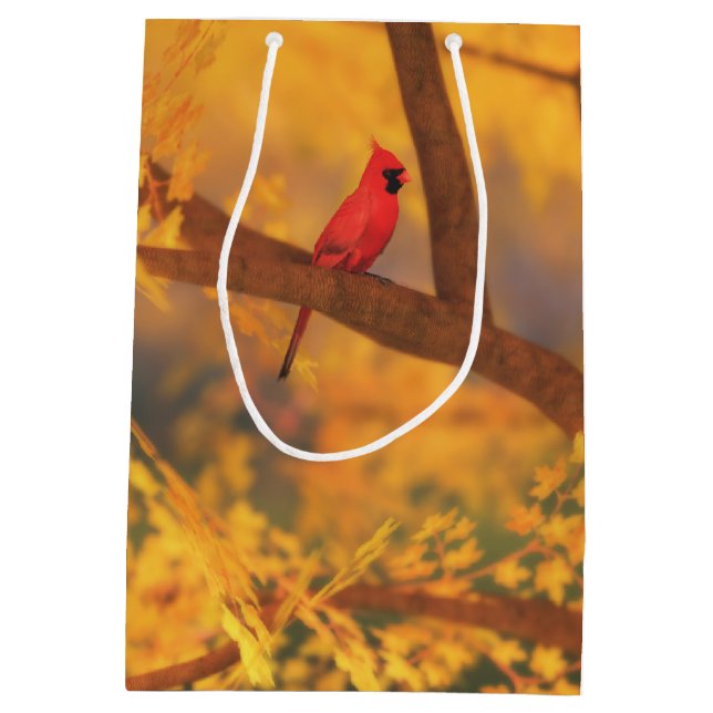 Mediana Bolsa de regalo de The Guardian de otoño (Reverso)