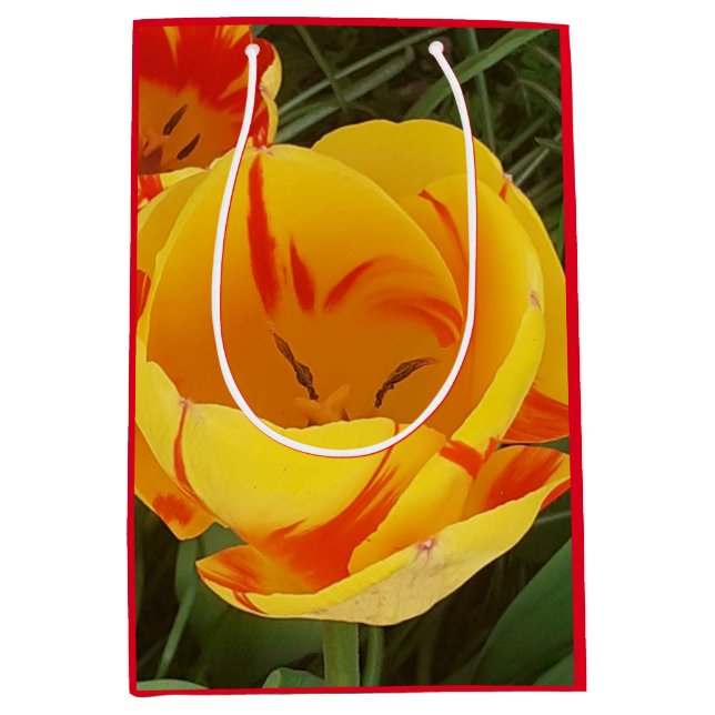 Mediana Bolsa de regalo de Tulips de primavera (Anverso)
