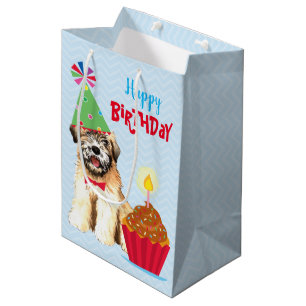 Mediana Bolsa de regalo media para el pastel de cumpleaños