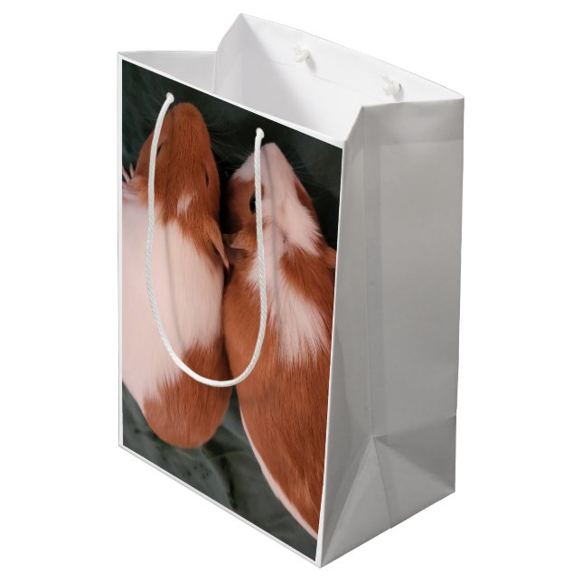 Mediana Bolsa de regalo para cerdos de Guinea (Angulo reverso)