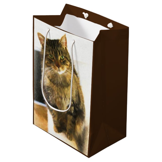 Mediana Bolsa de regalo para gato (Angulo Anverso)