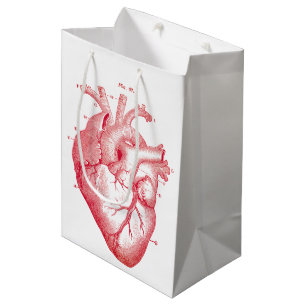 Mediana Bolsa de regalo para medios de impresión Anatómi