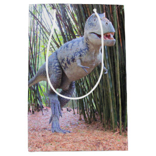 Mediana Daspletosaurio - Bolsa de regalo de dinosaurio