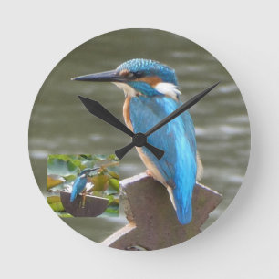 Mediano Cute Kingfisher reloj redondo
