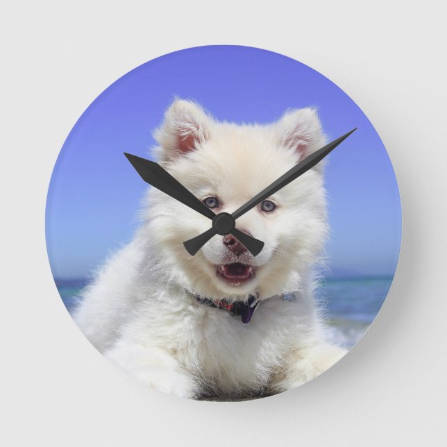 Mediano Foto de mi perro en un reloj grande redondo acríli (Anverso)