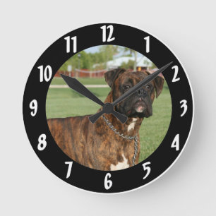 Mediano Reloj grande redondo del perro del boxeador