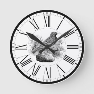 Mediano Reloj redondo de ilustración de estornino británic