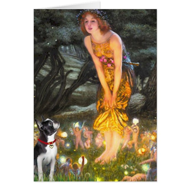 Medianoche - Boston Terrier #2 (Frente)