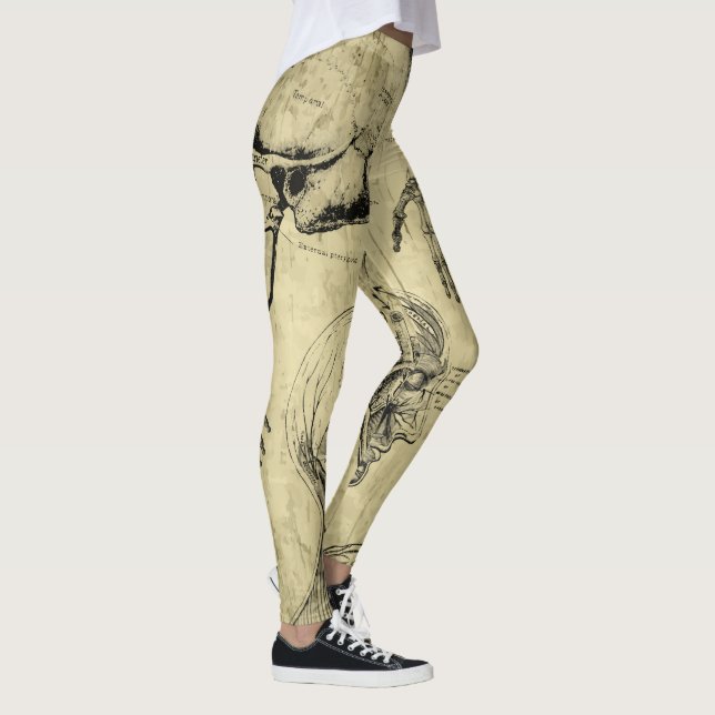 Medias de estampado de anatomía (Derecha)