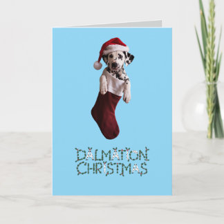 Medias de Navidad de dálmata
