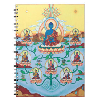 Medicina Buddhas - amos del CUADERNO 8 de la cura