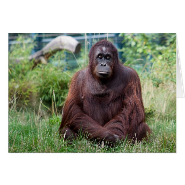 Medición (Anverso (Horizontal))