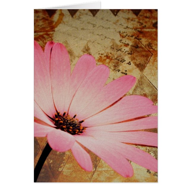 Medios mixtos de flores rosas (Frente)