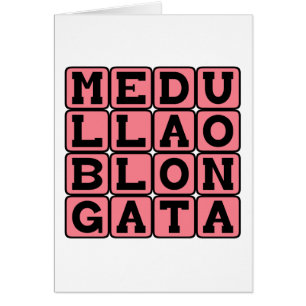 Médula Oblonga, Tallo Cerebral Inferior