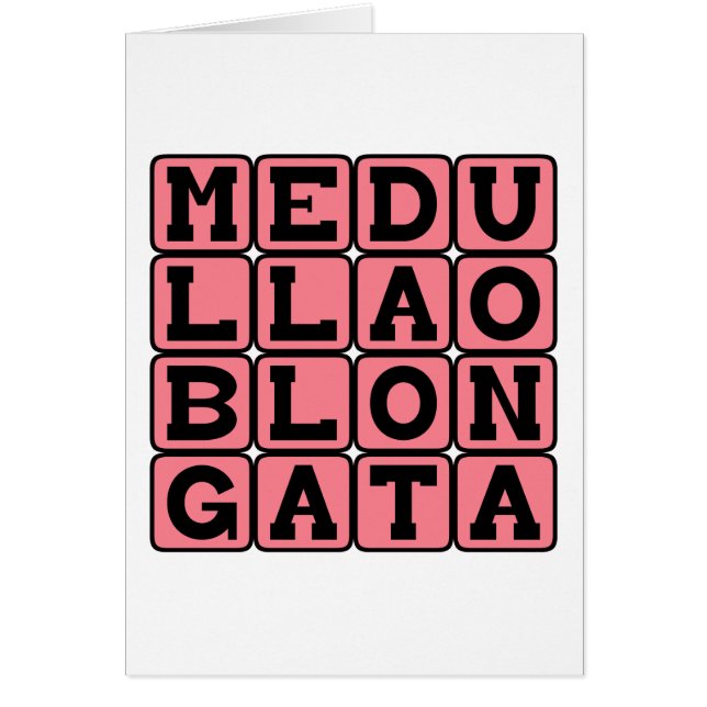 Médula Oblonga, Tallo Cerebral Inferior (Frente)